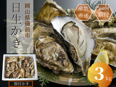 殻付きかき(加熱用)、3キロ【軍手、ナイフ付】 | ひなせお取り寄せ市場